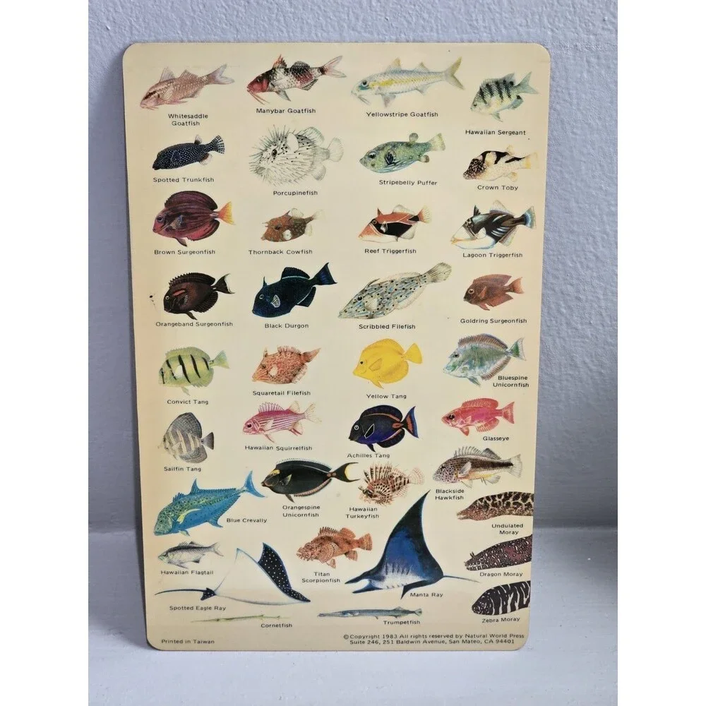 Vtg 1983 Guide to Hawaiian Reef Fish Plastic Card Natural World Press Ephemera